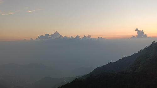 vansathli i near mall road kasauli