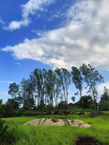 vasundhara agro hill resort