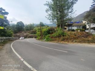 hotel shree homestay