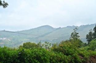 hotel shree homestay