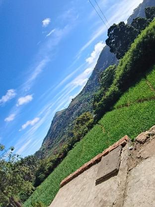 hotel shree homestay