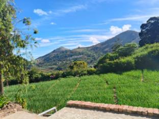 hotel shree homestay