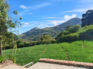 Hotel Shree Homestay,,2 star