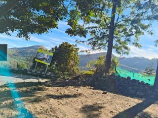 hotel shree homestay