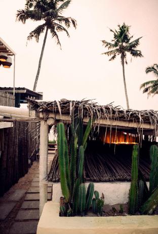 the beach club varkala