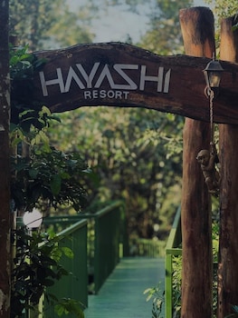 hayashi resort