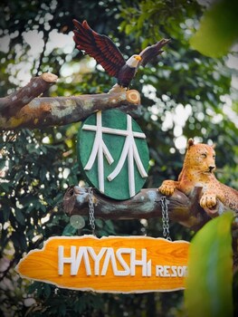 hayashi resort
