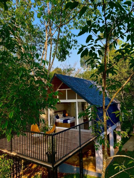 hayashi resort