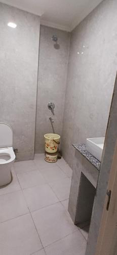 the royal metropolitan hotel igi airport delhi