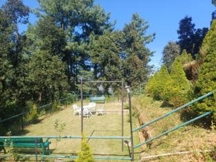 hotel green view shimla