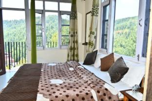 hotel green view shimla