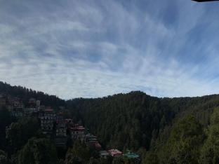 hotel green view shimla