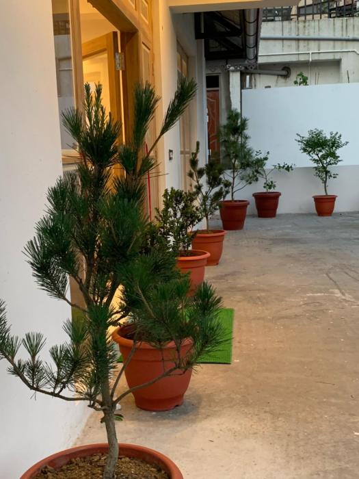 deolo mist a boutique mountain hotel