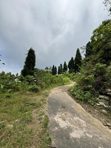 deolo mist a boutique mountain hotel