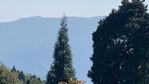 deolo mist a boutique mountain hotel