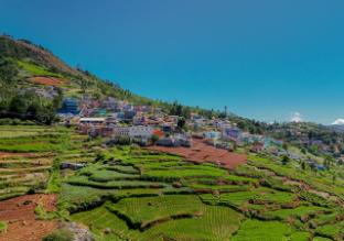 ooty