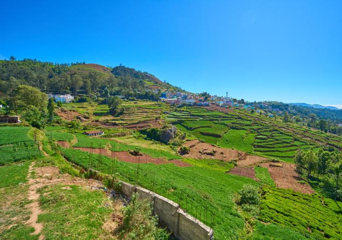 central homestay ooty by voye homes