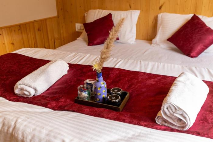 the evara stays jibhi