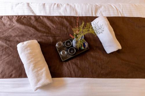 the evara stays jibhi