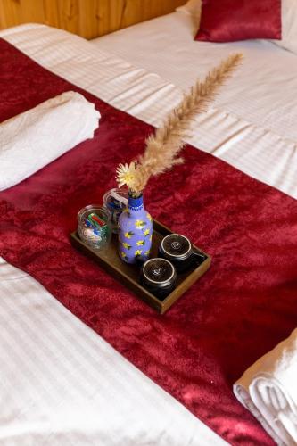 the evara stays jibhi