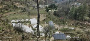 kasol magic valley camp