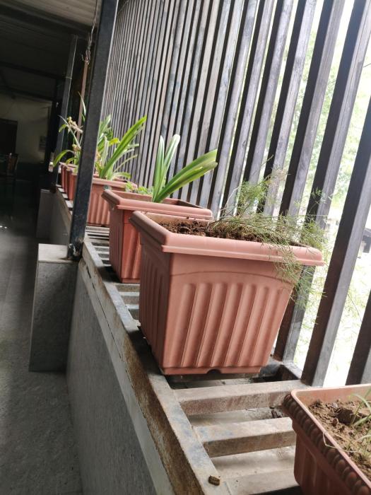 hotel kanchan