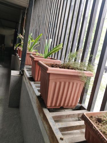 hotel kanchan