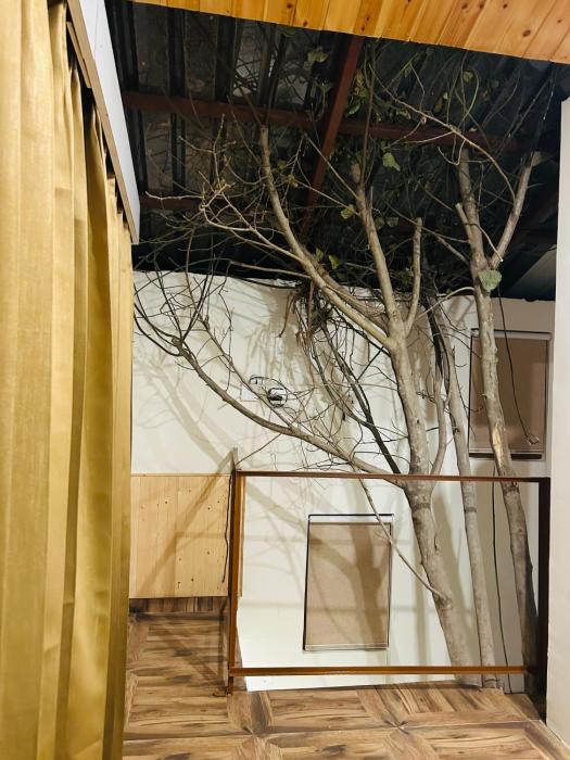 snow apple resort by west western