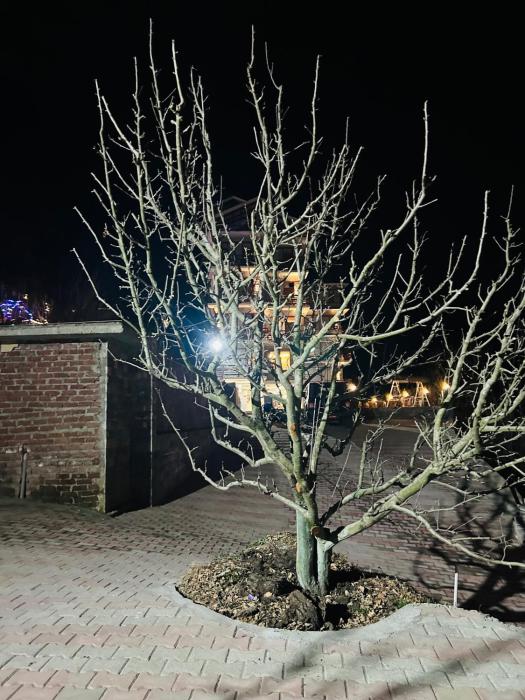 snow apple resort by west western