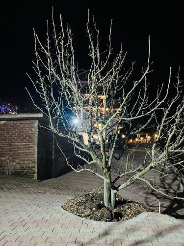 snow apple resort by west western