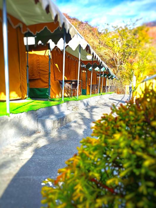 palki camps and resorts