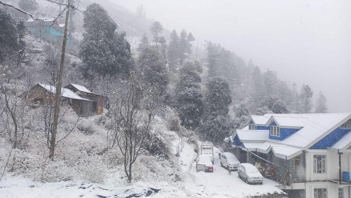 palki camps and resorts
