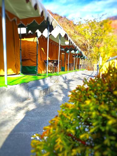 palki camps and resorts