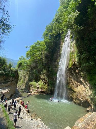 palki camps and resorts