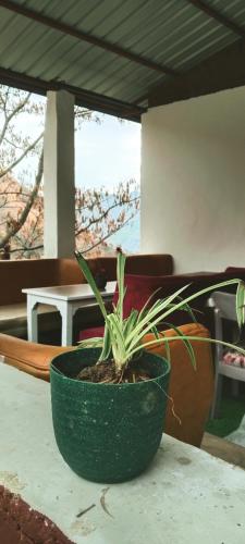 palki camps and resorts