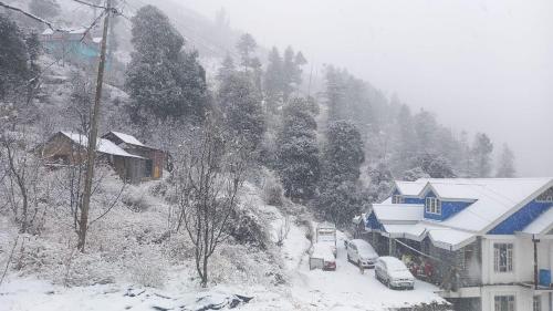 palki camps and resorts