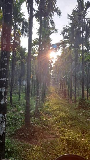 Silent River Homestay,,3 star