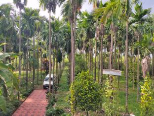 Silent River Homestay,,3 star