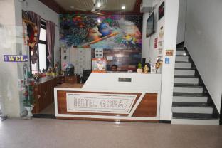 hotel gora palace
