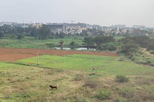 visaara luxury homes