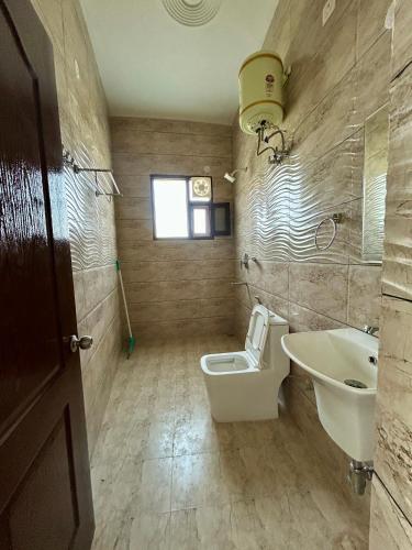 palampur