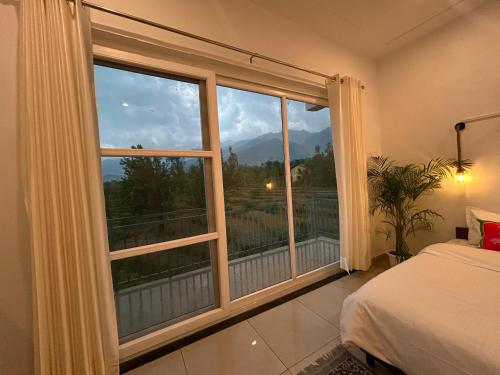 palampur