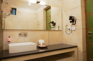 hotel himani hill view retreat palampur