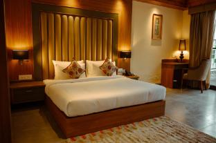 hotel himani hill view retreat palampur