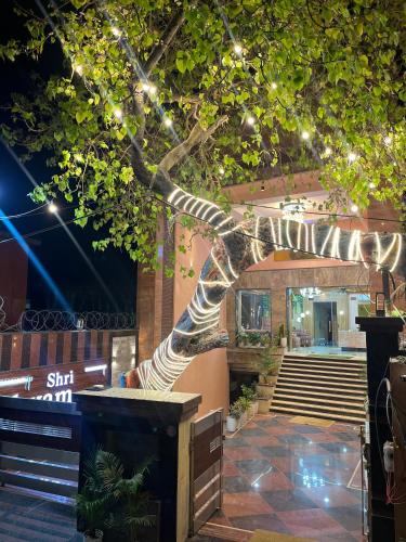 Shri Shyam Hotel, Near Harkipauri,,3 star