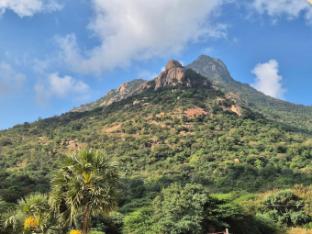 arunachala home