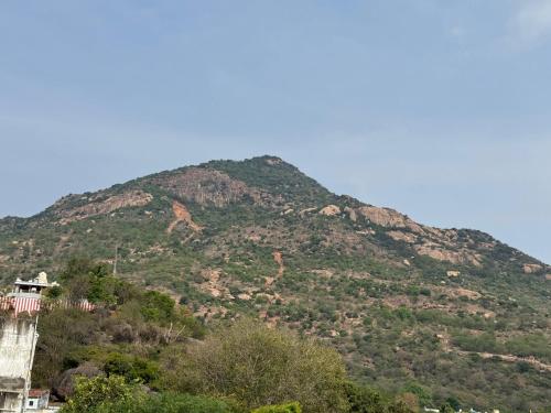 Nandi Residency,,3 star