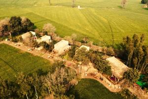 Punjab Village Farm Near Amritsar,,3 star