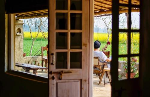 punjab village farm near amritsar