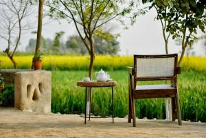 punjab village farm near amritsar